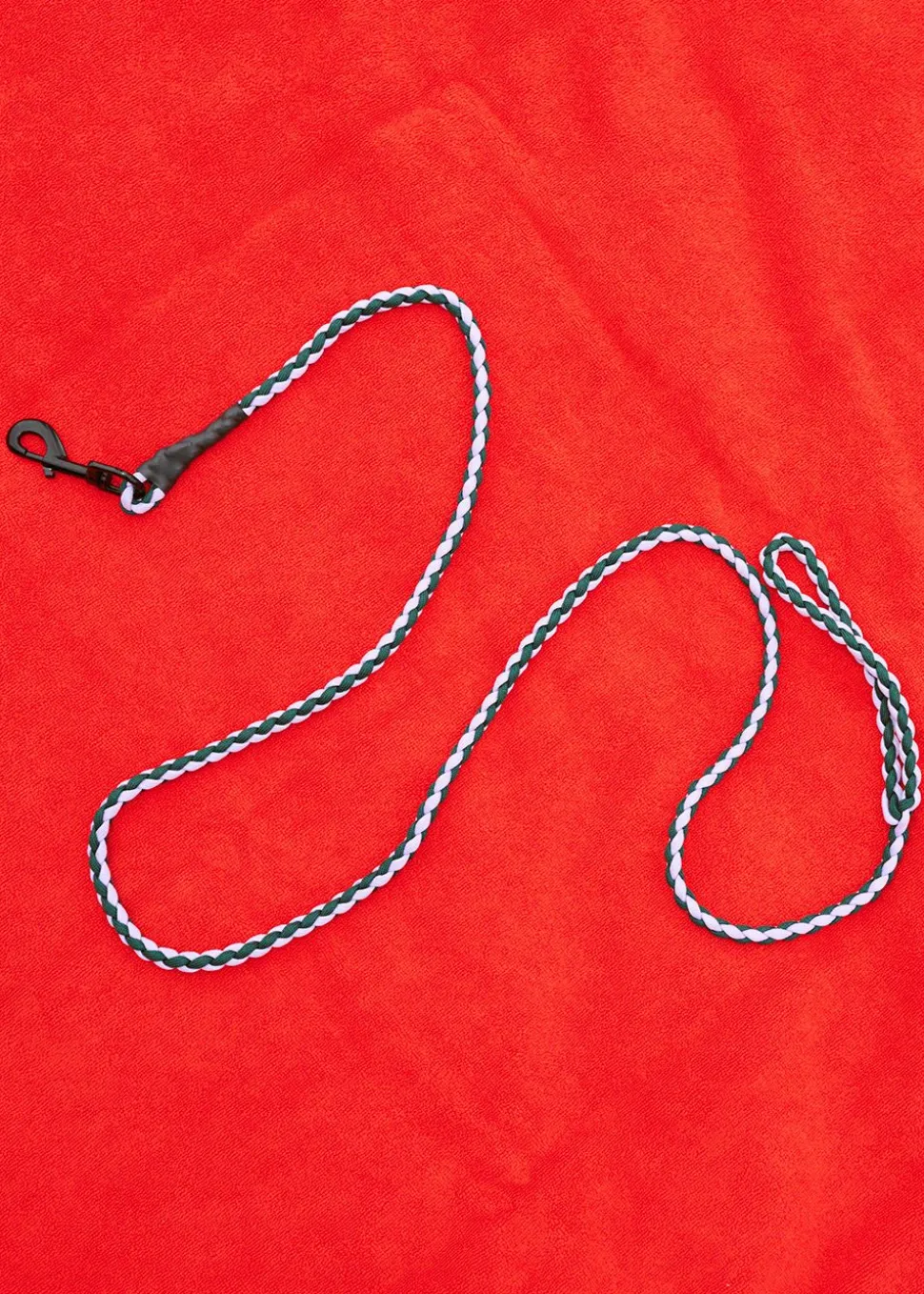 Hay Dogs Leash