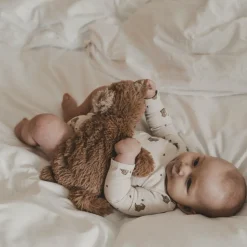 Houston Heavy Teddy Small
