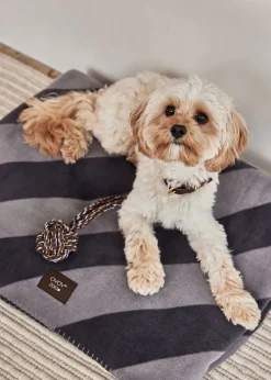 Kaya Dog Blanket