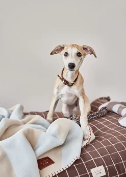 Kaya Dog Blanket