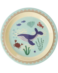 Kids Lunch Plate