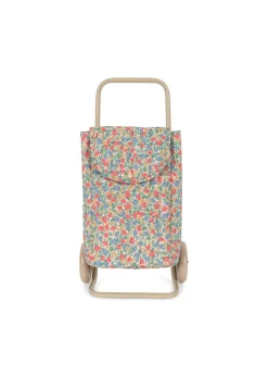 Kids Trolley