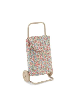 Kids Trolley