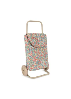 Kids Trolley