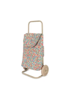 Kids Trolley