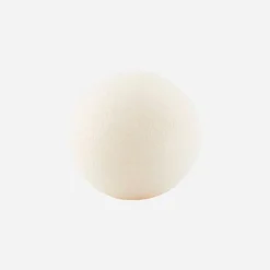 Konjac Svamp