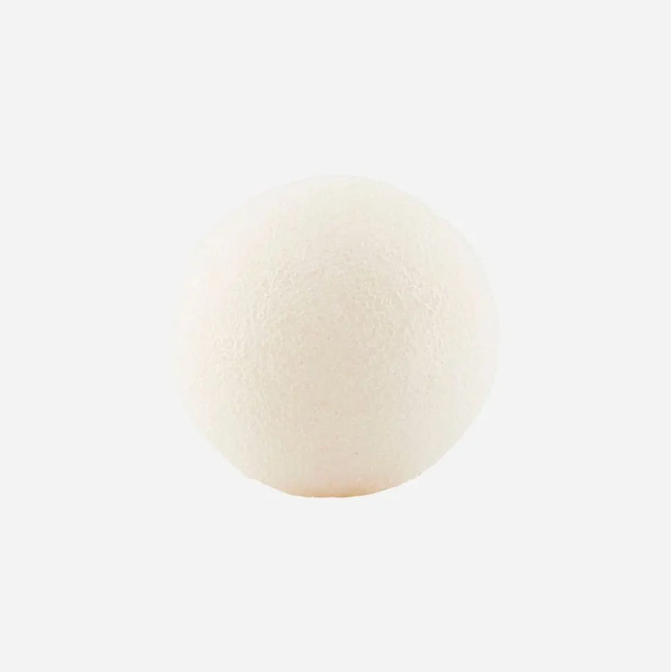 Konjac Svamp