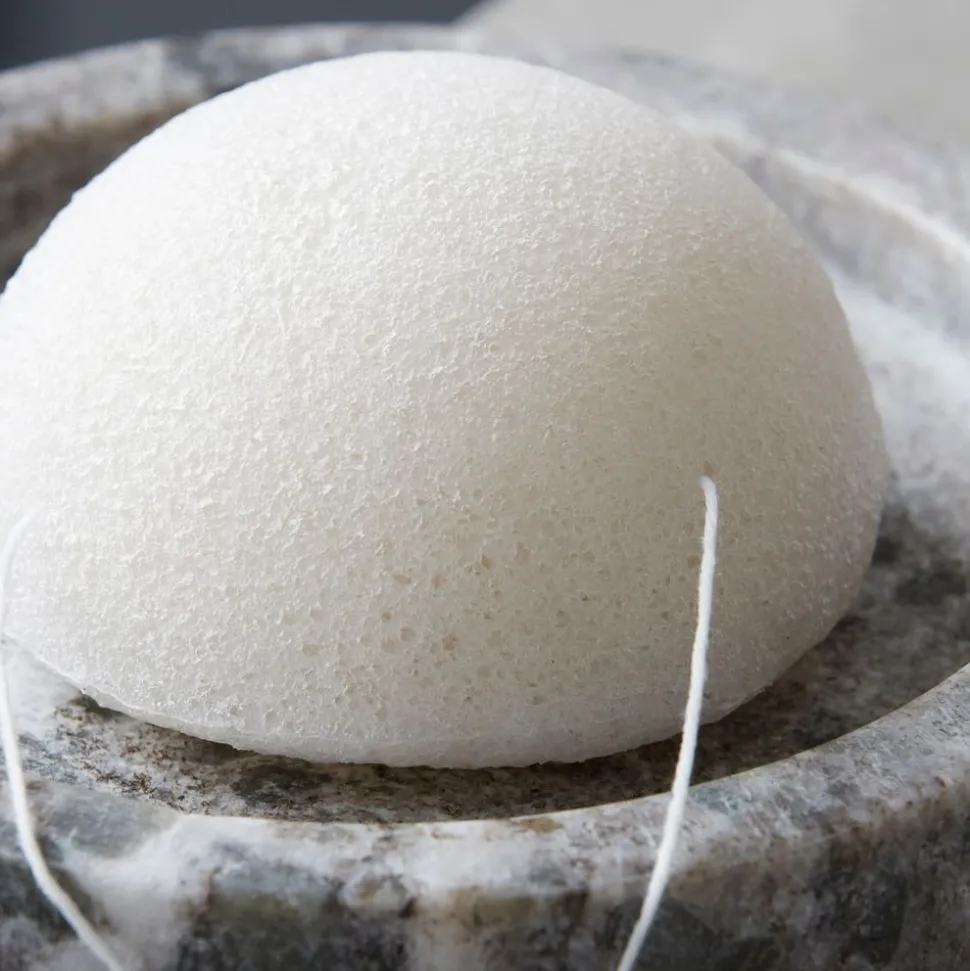 Konjac Svamp