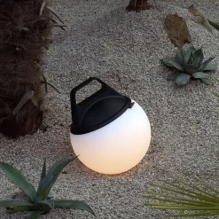 Light 250