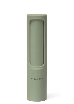 Lint brush