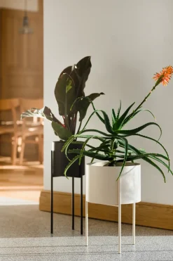 Maki Plant Pot - Wide