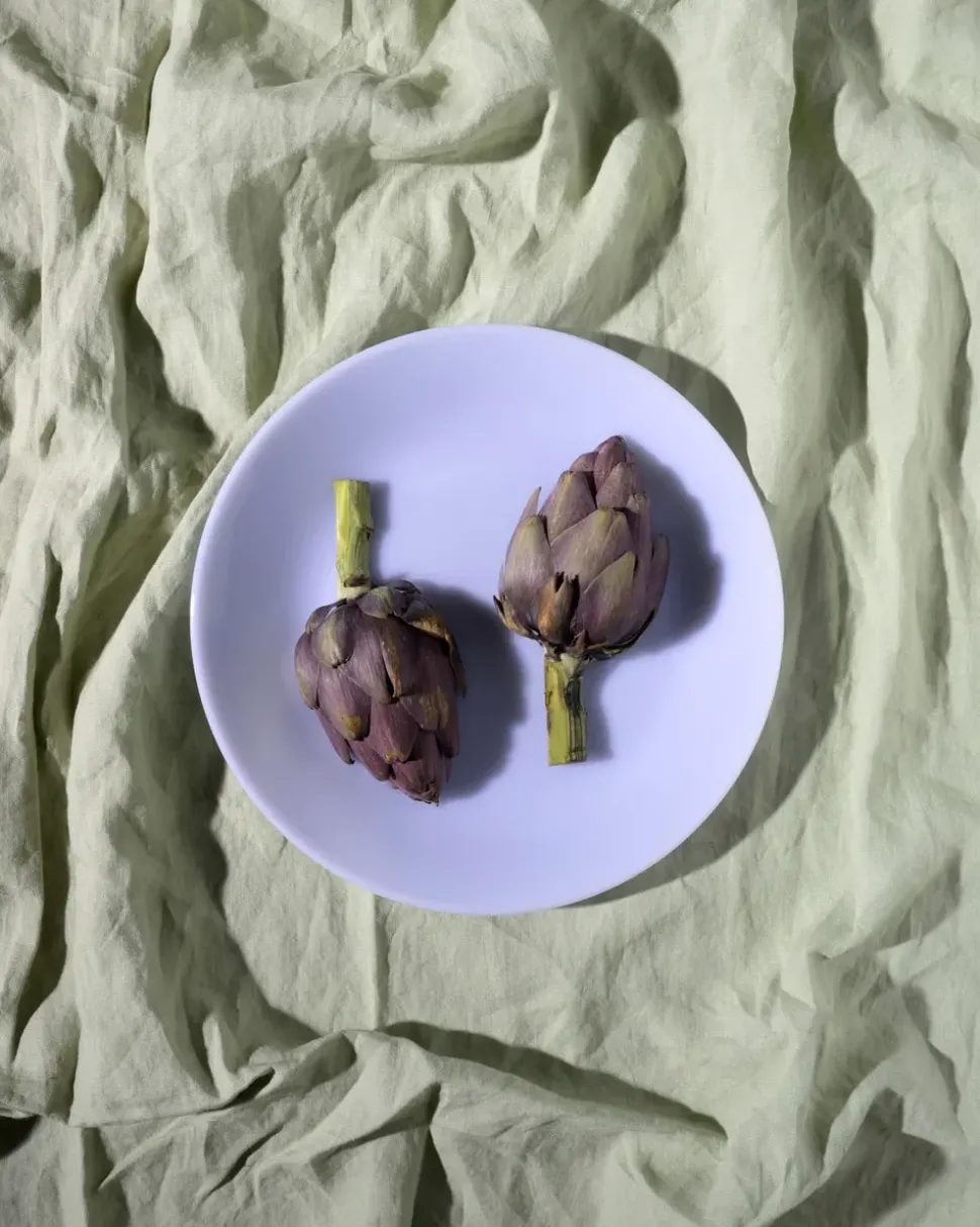 Milk Plate
