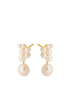 Ocean Treasure Earsticks