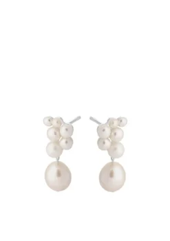 Ocean Treasure Earsticks