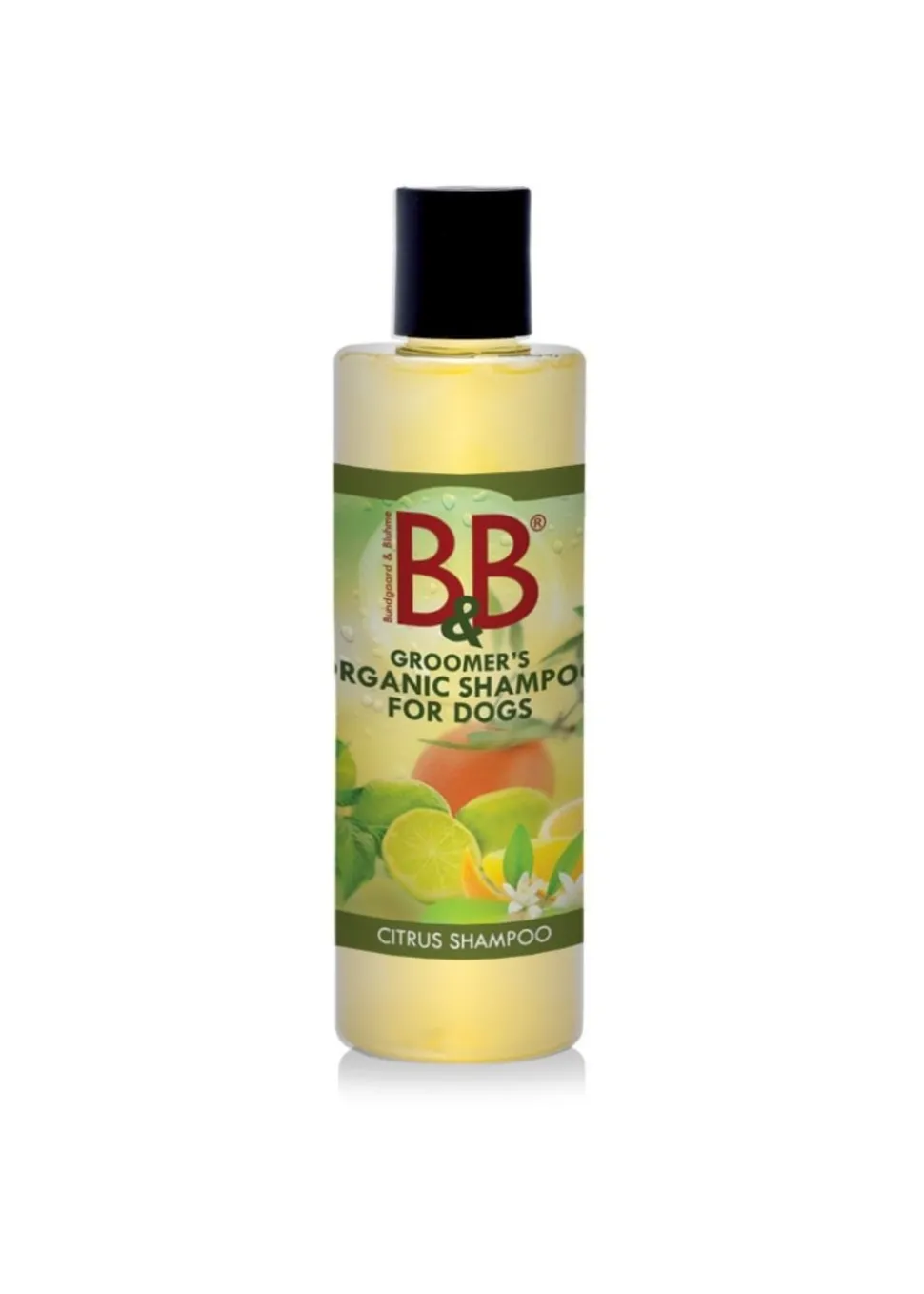 Organic Citrus Shampoo