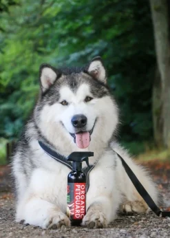 Organic Petguard