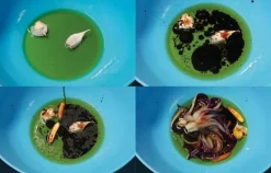 Osteria 16 No. 2