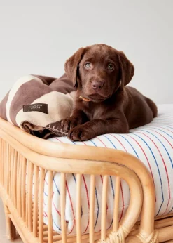 Otto Dog Bed