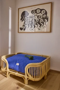 Otto Rope Dog Toy