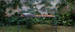Paon bench