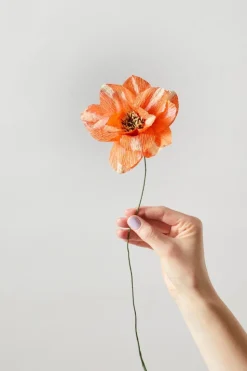 Paper Flower, Dahlia