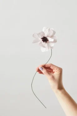 Paper Flower, Daisy