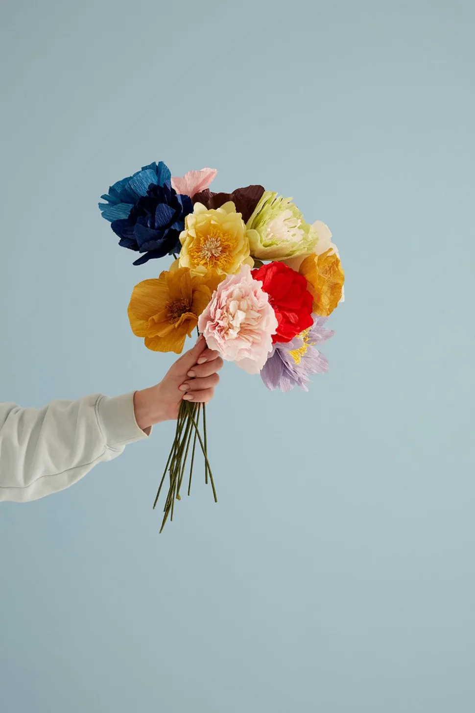 Paper Flower, Himalayan Poppy