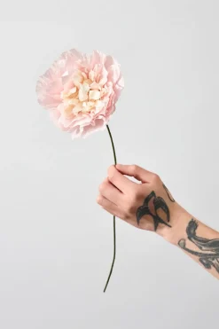 Paper Flower, Veggie Rose