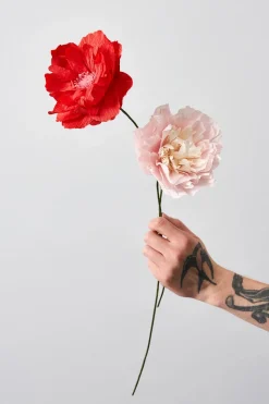 Paper Flower, Veggie Rose