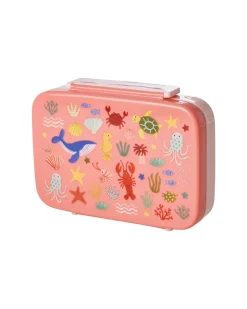 Plastic Lunchbox With 6 Rooms