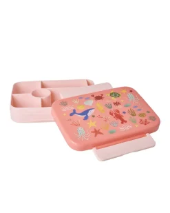 Plastic Lunchbox With 6 Rooms