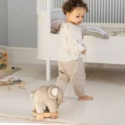 Pull-toy, Fanto