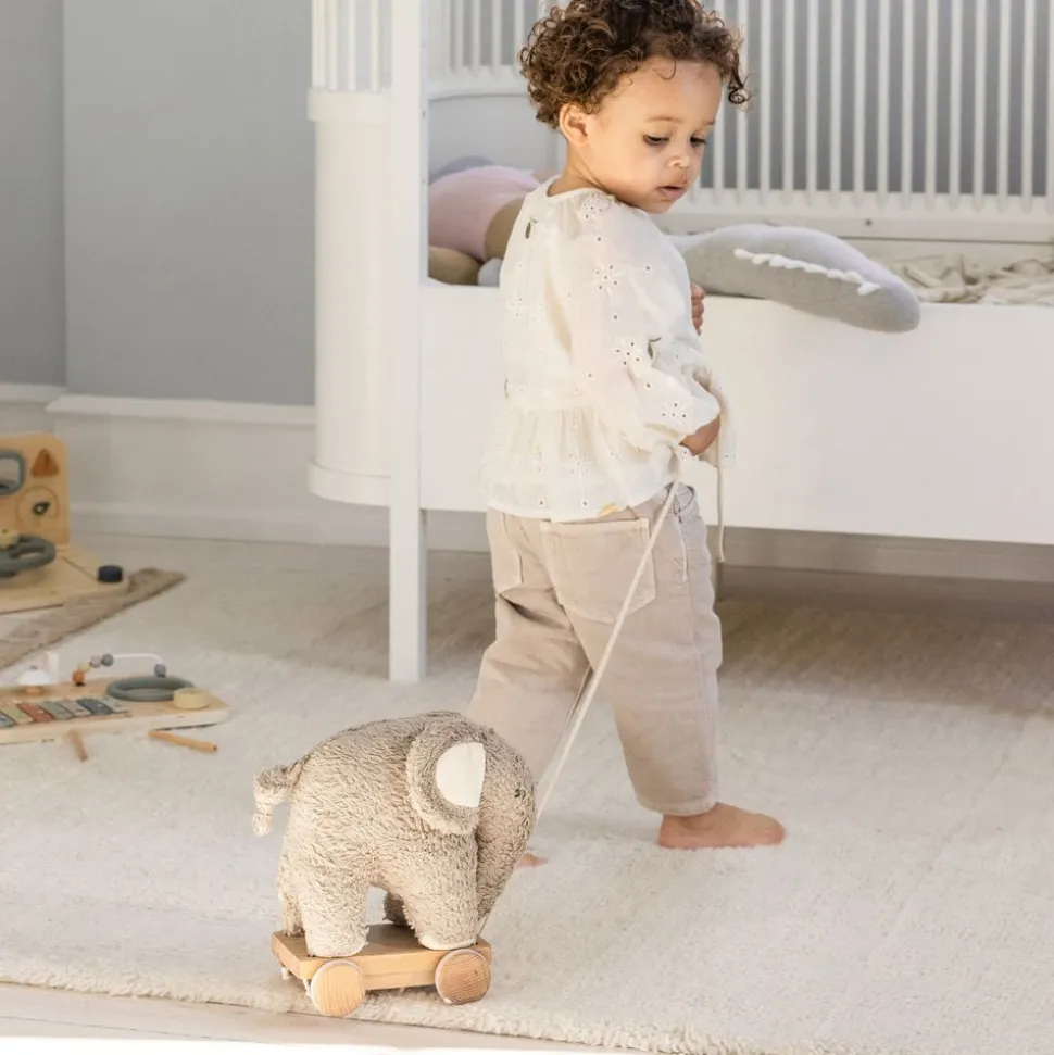 Pull-toy, Fanto