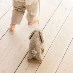 Pull-toy, Fanto