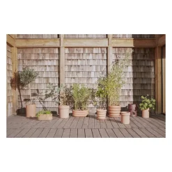 Ring Planter