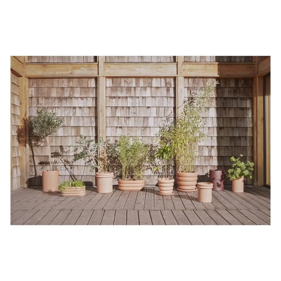 Ring Planter