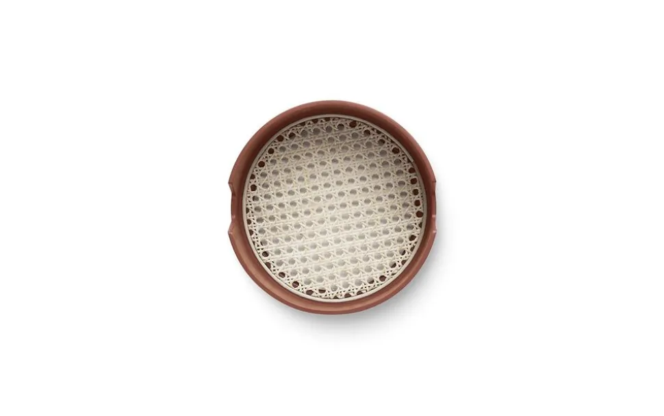 Salon tray Ø24