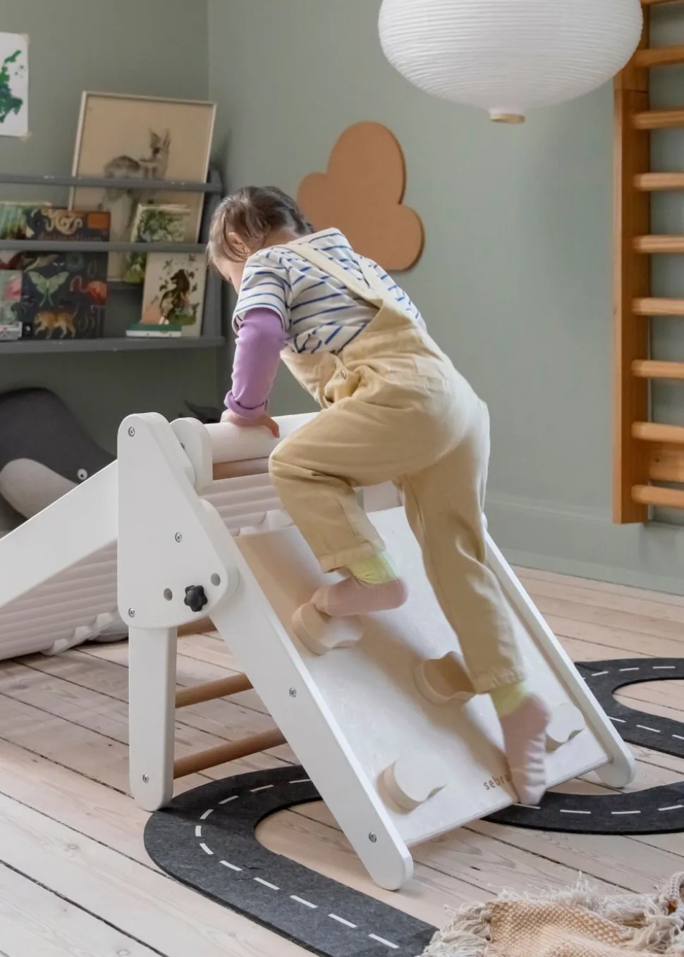 Sebra Climbing Triangle