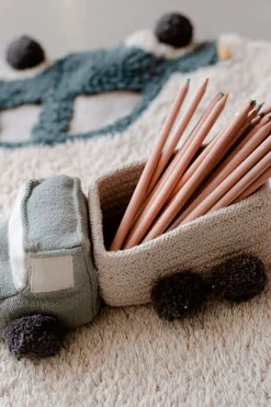 Set of Mini Baskets Truck