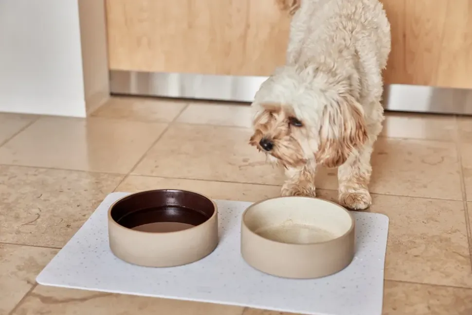 Sia Dog Bowl - Medium