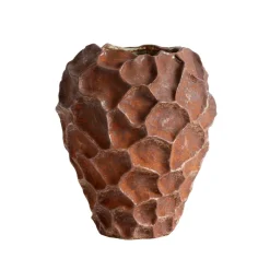 Soil