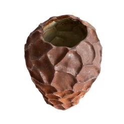 Soil