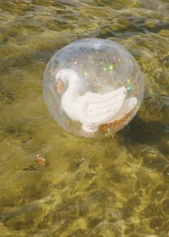 Swan Beach Ball