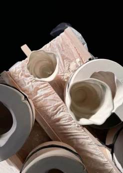 Swan cup blank