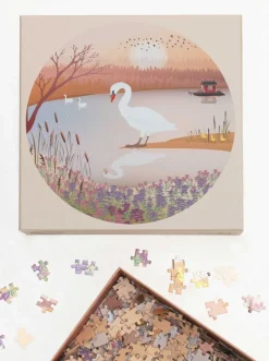 The Swan Puzzle