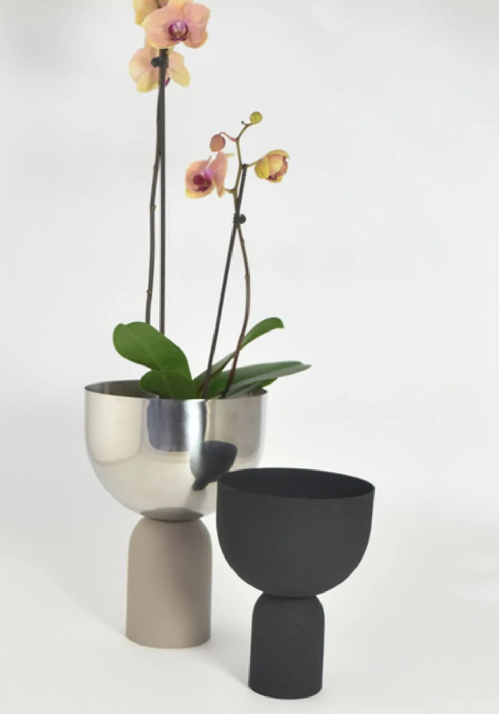 Torus Flowerpot