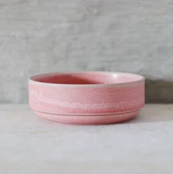 TOTO Bowl