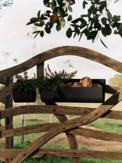 Uma Balcony Box