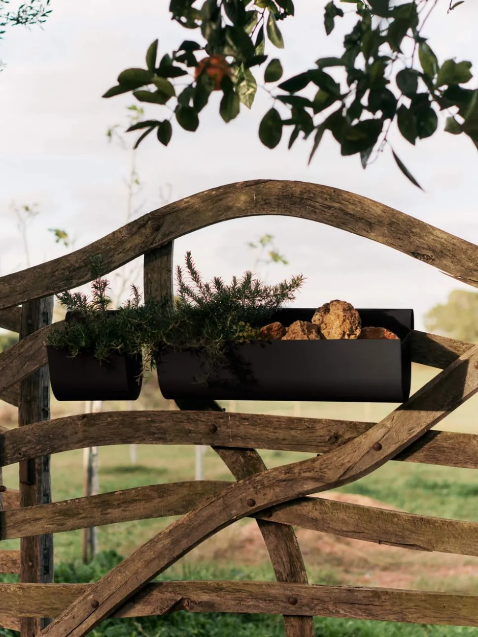 Uma Balcony Box