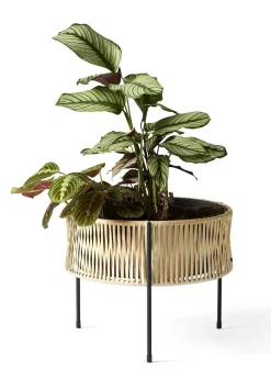 Umanoff Planter